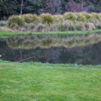 cressycane-2015-043-jim-morris-fishing.jpg