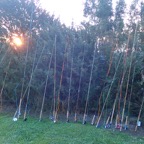 PA060219.JPG