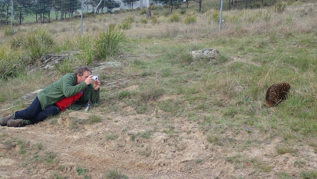 Bob Clay gets up close and personal with an Echidna.  Stright to the pool room!